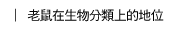 ѹbͪWa