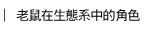 ѹbͺAt