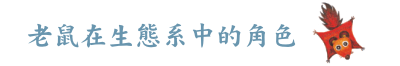 ѹbͺAt