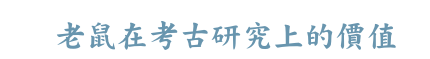ѹbҥjsW
